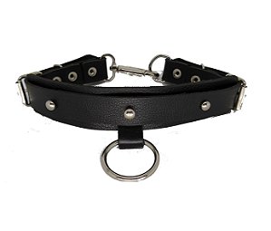 GARGANTILHA DE LUXO COM ARGOLA COR PRATA - NS108