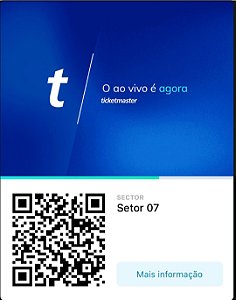 Arquibancada - Setor 7 - Grupo Especial - Domingo 02/03/25