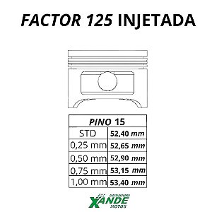 PISTAO KIT YBR FACTOR 125 INJETADA 2017 VINI 1,00