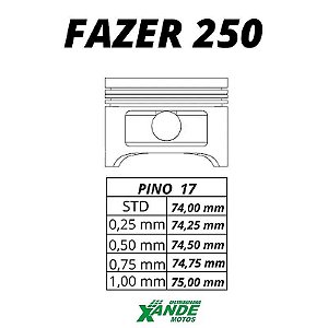 PISTAO KIT FAZER 250 / XTZ 250 LANDER  VINI  STD