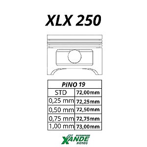 PISTAO KIT XLX 250  RIK 0,50