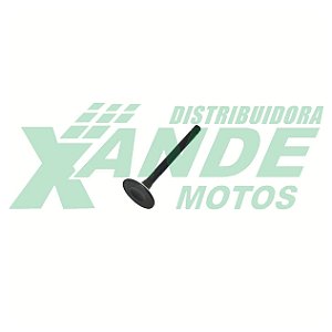 VALVULA ESC CBX 200/XR 200/NX 150/STX 200/CRF 230/ BROS 150 ATE 2005 METAL LEVE