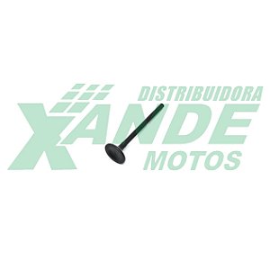 VALVULA ESC CBX 250 / XRE 300 / XR 250 / CB 300 METAL LEVE