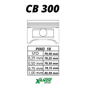 PISTAO KIT CB 300 / XRE 300 KMP 1,00