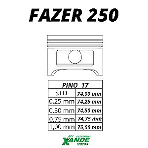 PISTAO KIT FAZER 250 / XTZ 250 LANDER   STD  METAL LEVE