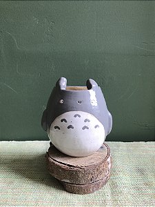 Vaso de Parede Meu Amigo Totoro