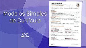 CURRÍCULO SIMPLES SEM FOTO