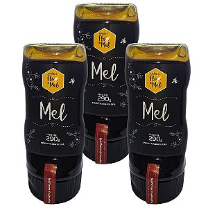 Mel Flores de Aroeira 290g 100% Puro Sem Glúten Premium Apiário Flor de Mel - Kit 3 unidades