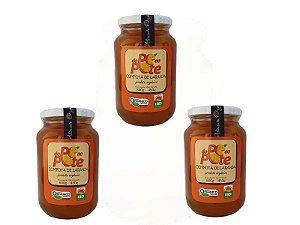 Compota de Laranja Orgânica 600g com Açúcar Sem Glúten Sem Lactose Do Pé ao Pote (Peso Drenado 450g) - Kit 3 unidades