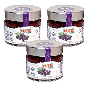 Geleia de Amora Zero Hué (Sem Adição de Açúcares) Vegano Sem Glúten Sem Lactose 210g Kit 3 unidades