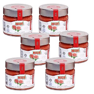 Geleia de Goiaba Zero Hué (Sem Adição de Açúcares) Vegano Sem Glúten Sem Lactose 210g Kit 6 unidades