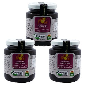 Geleia de Jabuticaba Orgânica 240g com Açúcar Sem Glúten Sem Lactose Do Pé ao Pote Kit 3 unidades