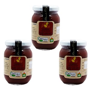 Goiabada Cascão Cremosa Orgânico 300g com Açúcar Sem Glúten Sem Lactose Do Pé ao Pote Kit 3 unidades