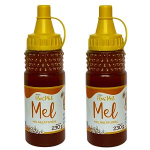 Mel Multifloral Flores Silvestres 230g 100% Puro Sem Glúten Apiário Flor de Mel - Kit 2 unidades