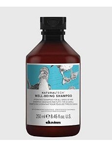 Davines Shampoo Well Being 250ml