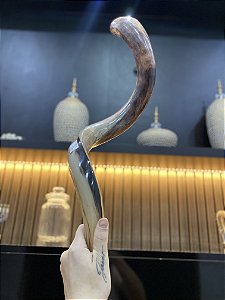 Shofar 84cm