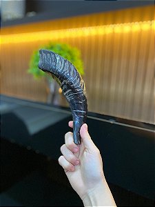 Shofar 26cm | MODELO 23