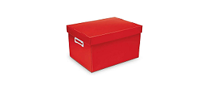Caixa Organizadora Box G 437x310x240 - Polibras