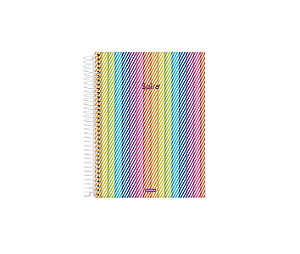 Caderno Universitário 15 Matérias Spiro 240 fls. - Jandaia