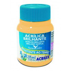 Tinta Acrílica Brilhante 100ml Amarelo Limão - Acrilex