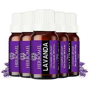 Kit 05 Óleo Essencial Lavanda Francesa 10ml HerboMel Natural