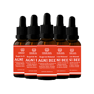Kit 05 Melomel Agni Bee Digestivo 30ml HerboMel Natural