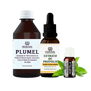 Kit Imunidade Turbo HerboMel Natural