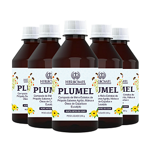 Kit 05 Unidades Plumel Xarope 200g HerboMel Natural