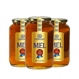 Kit 03 Unidades de Mel Puro de Abelhas Premium 800g Eucalipto HerboMel Natural