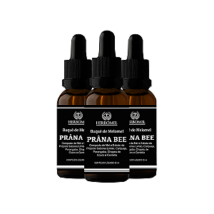Kit 03 Melomel Prana Bee Emagresim 30ml HerboMel Natural
