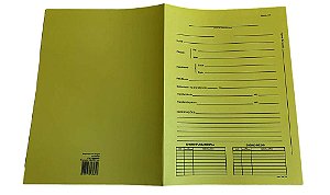 Pasta Modelo 17 amarela - Pct C/50