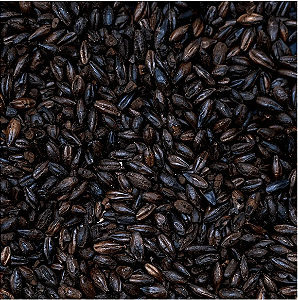 Malte Chateau Black