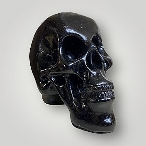 Cranio Preto de Gesso - Caveira