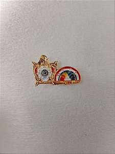 Pin Demolay Especial Colorido