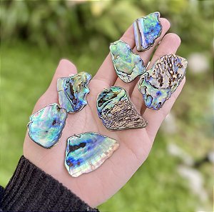 Pingente Abalone