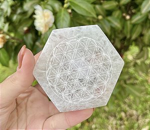 Placa de Selenita Hexagonal Flor da Vida - P