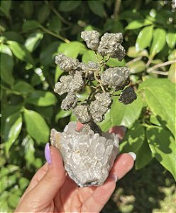 Árvore da Felicidade - Quartzo Cristal com Pirita