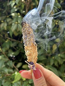 Palo Santo Imantado - Lavanda com Rosas