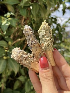 Trio Palo Santo Imantado - Mini