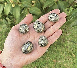 Pirita Pequena - Rolada