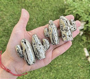 Cacto de Pirita