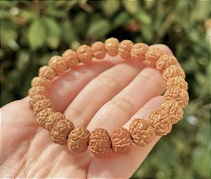 Pulseira Semente de Rudraksha