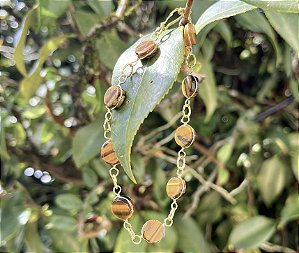 Pulseira Olho de Tigre - Dourada