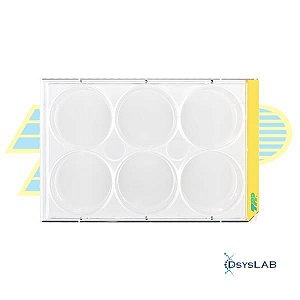 Microplaca para cultivo celular, 6 poços, fundo chato, PS, com tampa, unidade 92006-UND (TPP)