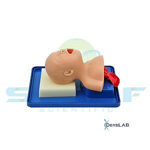 Simulador de intubação em bebê, mod.: SD4006 (Sdorf)