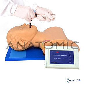 Simulador para Treino de Intubação Traqueal, com Dispositivo de Controle, mod.: TGD-4007 (Anatomic)