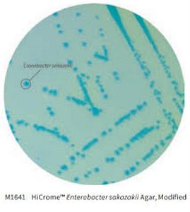 💥❆ Ágar cromogênico (HiCrome) Enterobacter sakazakii, modificado, frasco com 500 gramas M1641-500G (Himedia)
