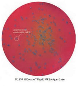 💥 Ágar cromogênico (HiCrome) MRSA base, rápido, frasco com 500 gramas M1974-500G (Himedia)*