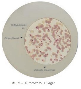 Agar Cromogênico M-TEC (Hicrome M-TEC Agar), Frasco com 500 gramas, Mod.: M1571-500G (Himedia)