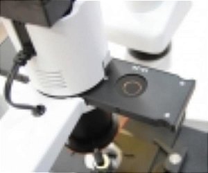Microscópio invertido binocular com contraste de fase, bivolt, mod.: BIOINVERT-BINO (Biofocus)